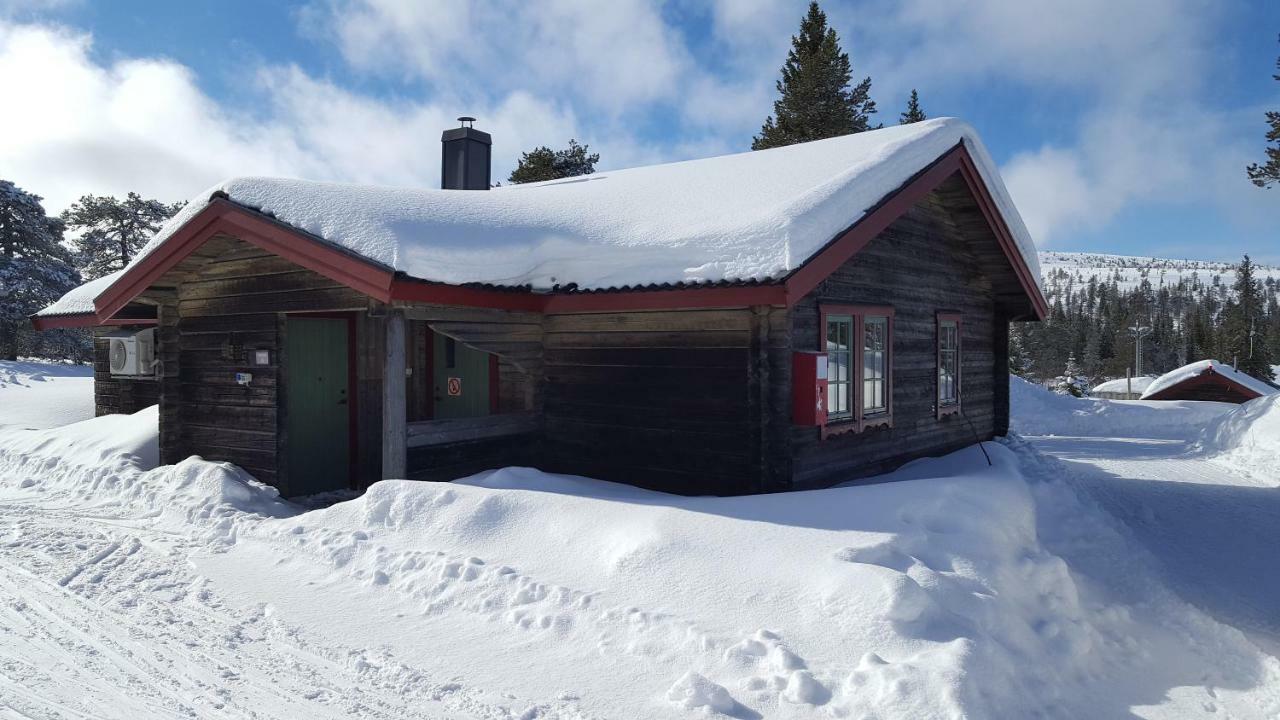 Saelens Bed & Breakfast Apartments Exterior foto